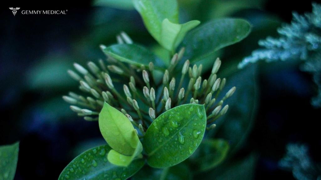 Car Air Freshener And Disinfectant Spray: What You Need to Know